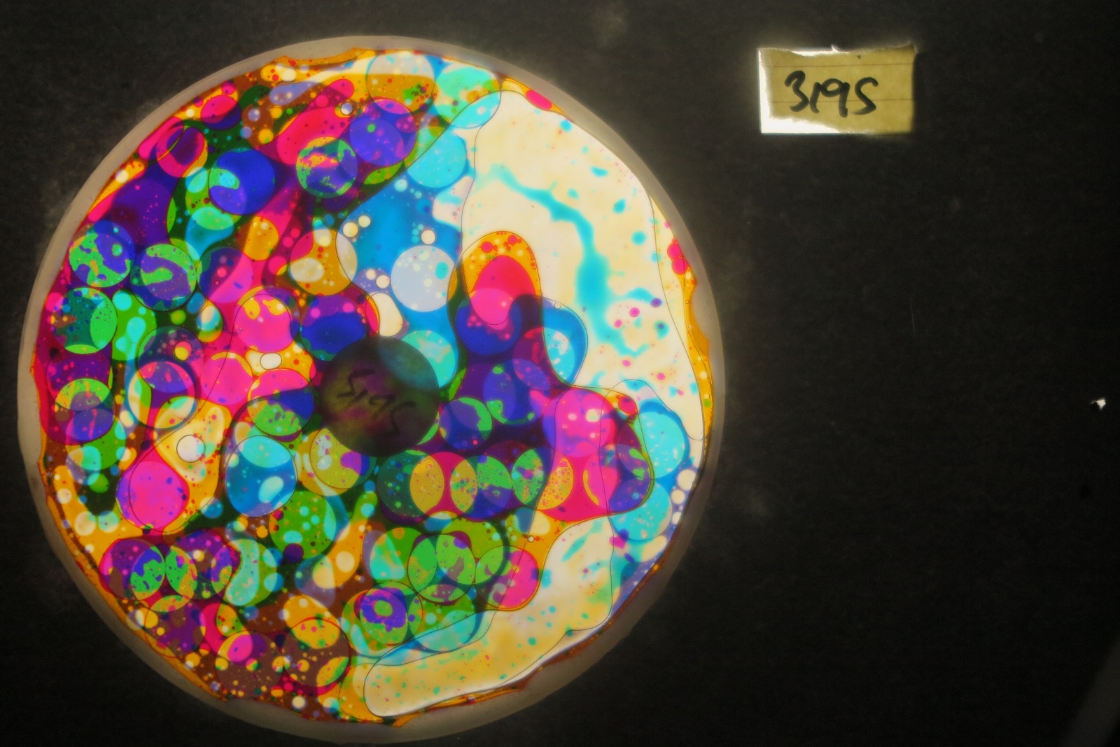 BV3195 bubble vision oil wheel